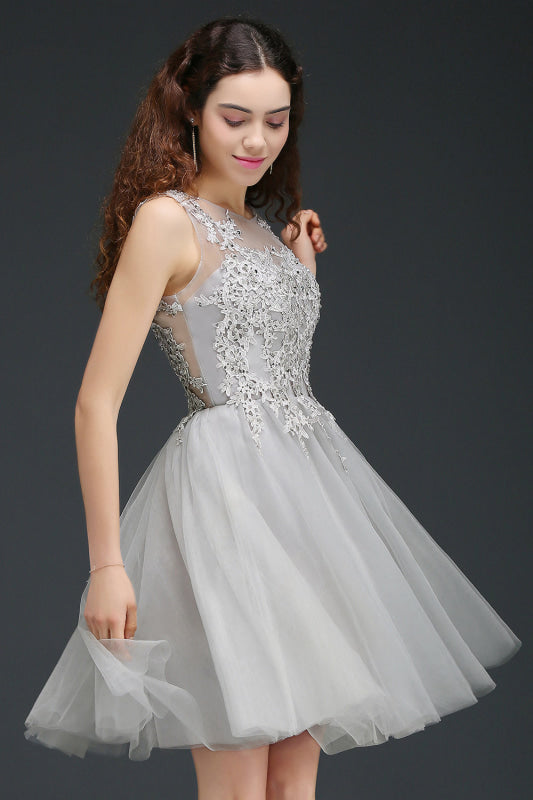 Chic Crew Neck Lace Tulle Short Homecoming Dress Sleeveless Appliques Mini Party Dress - Prom Dresses