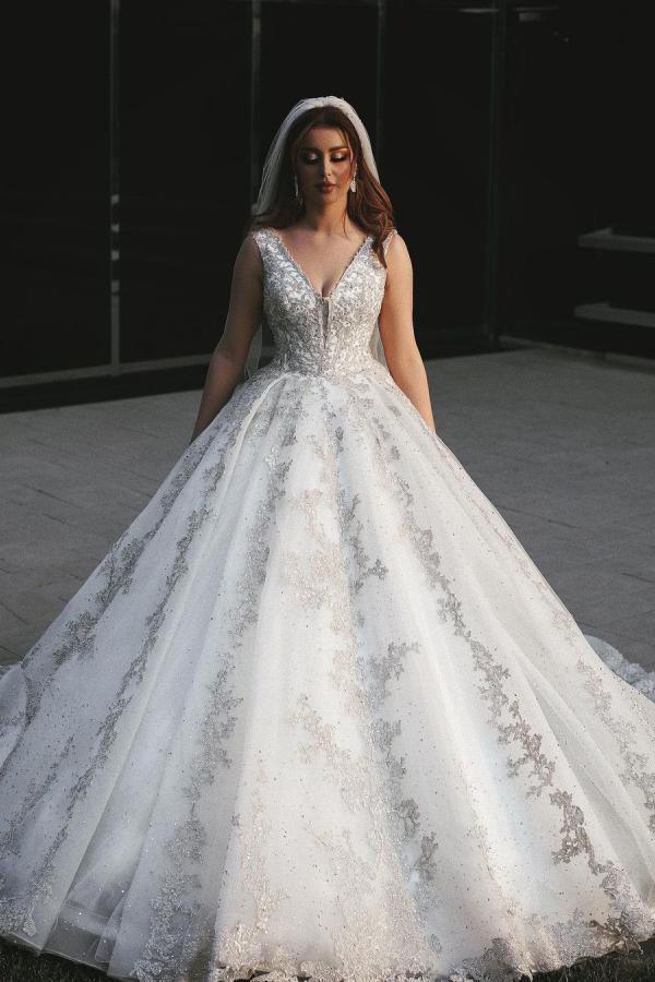 Long Princess V-Neck Wedding Dress with Lace and Tulle Appliques