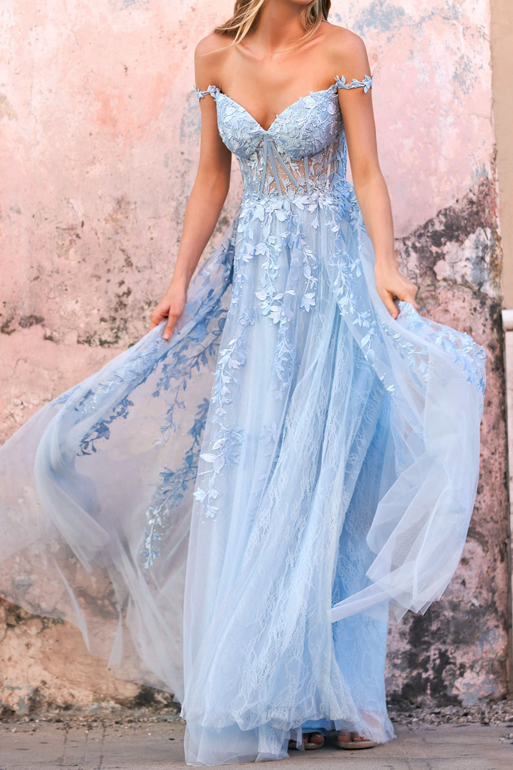 Elegant Floral Lace Off-the-shoulder Tulle Prom Dress