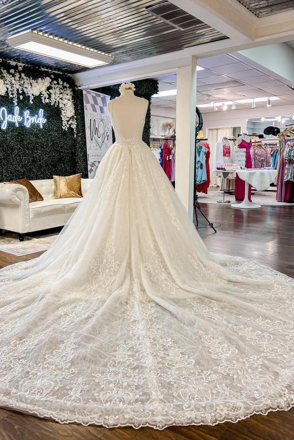 
                      
                        Elegant Long A-line V-neck Floral Lace Open Back Wedding Dresses
                      
                    